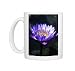 Photo Mugs of Water lily (Nymphaea sp.) from Science Photo Library