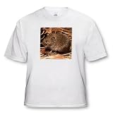 Mouse - Toddler T-Shirt (4T)
