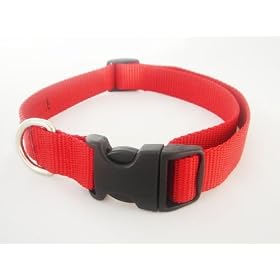 Xsmall Red Nylon Webbing Dog Collar: 1/2