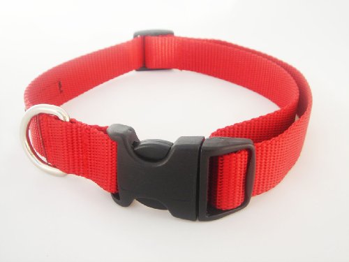 Small Red Nylon Webbing Dog Collar: 5/8″ wide, Adjusts 10-14″.