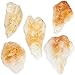 OnlineScienceMall Natural Citrine Quartz Shards - Rough Unpolished Yellow Gemstone Crystals (7 Pack)