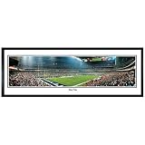 Everlasting Images Houston Texans Reliant Stadium Framed Panoramic Print