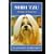 Shih Tzu: An Owner's Companion
