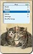 2 Kittens - Apple iPod video 30GB Hard Case iJacket - Shock Absorbent Hard Protective Faceplate Cover + FREE iPod video Screen Protector Shield