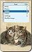 2 Kittens - Apple iPod video 30GB Hard Case iJacket - Shock Absorbent Hard Protective Faceplate Cover + FREE iPod video Screen Protector Shield