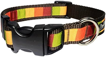 Paw Paws USA Pumpkin Block Dog Collar, Medium, Multicolored