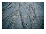 4Wd Tracks on Sand, Fraser Island, Queensland, Australia Photographic Poster Print by Tony Wheeler, 16x12