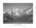 Ansel Adams (Snow Covered Mountains, Tetons) Art Poster Print - 16 X 20