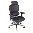 Ergohuman High Back Black Leather Chair with Headrest Black Leather/Chrome Frame