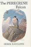 The peregrine falcon