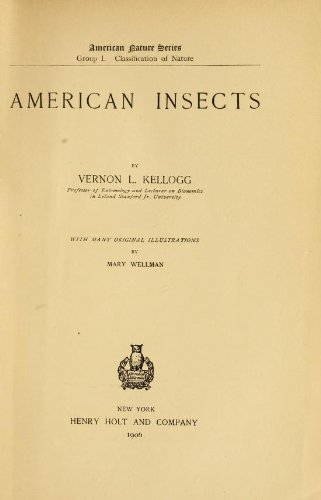 American Insects