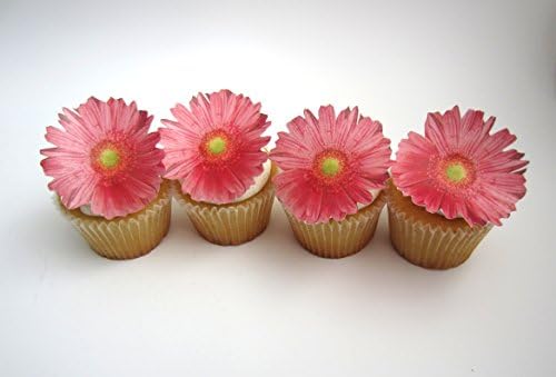 Edible Bright Pink Daisy Flowers - Set of 12 Flowers - Cake and Cupcake Toppers - Weddings, Bridal Showers, Baby Shower Decorations - 77120