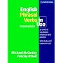 English Phrasal Verbs in Use Intermediate (Professional English in Use)