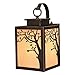 7 in. Alberta Outdoor Wall Light Burnished in Bronze