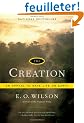 The Creation: An Appeal to Save Life on Earth