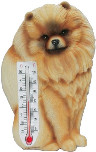 Pomeranian Thermometer