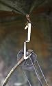 2 - Pk. Iron Talon&reg; Ground Blind Bow Hangers