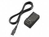 Sony BC-TRV Compact Travel Charger for Handycam Batteries