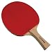 Sporting Goods : Halex Cyclone 1.0 Table Tennis Paddle