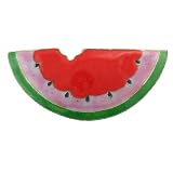 Juicy Watermelon Silver & Enamel Barrette
