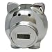 Digital Piggy Bank