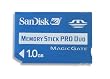 SanDisk 1 GB Memory Stick Pro Duo (SDMSPD-1024-A11)