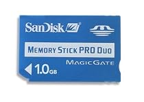SanDisk 1 GB Memory Stick Pro Duo (SDMSPD-1024-A11)