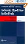 Ischemic Blood Flow in the Brain, Vol. 6 (Keio University International Symposia for Life Sciences and Medicine)