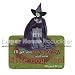 Wizard of Oz Wicked Witch Die-Cut Wit & Wisdom Magnet