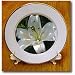White Lily - may birth flower, birth flower, lily, lilies, lilium, flowering plants, plants - 8 Inch Porcelain Plate