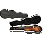 Glaesel GL-50524 Viola Case