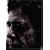 Lou Reed - Spanish Fly - Live In Spain [DVD]