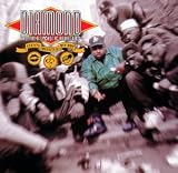 Stunts Blunts & Hip Hop