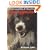 Understanding and Handling Dog Aggression