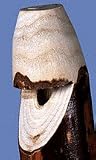 54 Sassafras Whistle Adult Hiking and Walking Stick