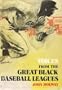 Voices from the great Black baseball leagues