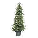 Pre-Lit Potted Frasier Tree Green