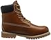 Levis Men's Harrison LE Boot