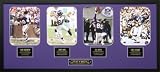 Minnesota Vikings Team History Collage