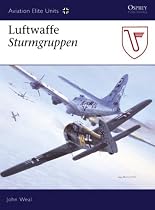 Luftwaffe Sturmgruppen (Aviation Elite Units)