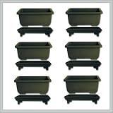 BonsaiTreesandTools:6inchBonsaiPotswithTrays|6pack