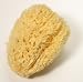 Perfect Beauty Caribbean All Natural Sea Sponge - Made in Italy