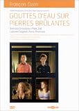 Gouttes deau sur pierres brûlantes