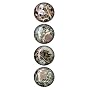 iPop Evan B Harris Flowers 4 Pack Clicks Magnet Set