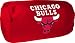 Chicago Bulls - NBA 12