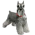 Companion Size - Schnauzer, Gray