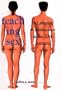 Teaching Sex: The Shaping of Adolescence in the 20th Century