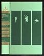 Three Marchen of E. T. A. Hoffmann