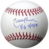 Randy Johnson Autographed MLB Baseball Perfect Game PSA/DNA