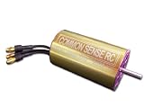 2000 KV Brushless Inrunner Motor - Upgrade for Multiplex Easy Star